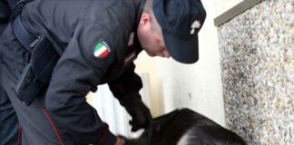 Agropoli. Ultima ora, i Carabinieri stanno arrestando 6 persone accusate di spaccio di droga