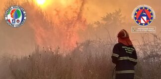 Battipaglia. Roghi sulla collina e nella Z.I., evitato il peggio grazie alla Protezione Civile e ai Vigili del Fuoco (vedi foto)