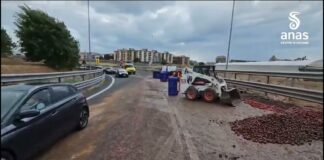 Battipaglia. Rallentamenti allo svincolo autostradale, ribaltato carico di pomodori (video)