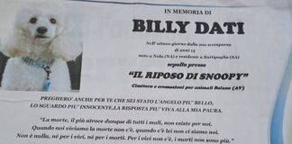 Battipaglia. Manifesto funebre ricorda la morte di “BILLY DATI”, cane barboncino di 13 anni
