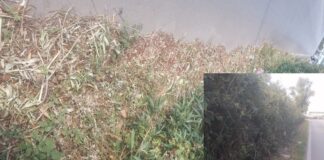 Battipaglia. Erba tagliata in via Spineta non rimossa, scatta la protesta dei residenti
