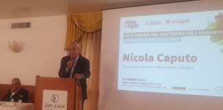 Battipaglia. Operatori della IV Gamma a confronto tra sostenibilità, mercato e ricette anticrisi