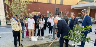 Battipaglia. Giornata del Dialogo Cristiano- Islamico, piantato un albero di ulivo in segno di fratellanza