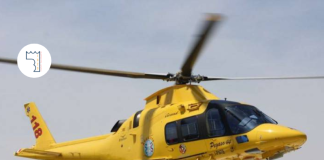 Cilento. Incidente stradale sulla SS 267 causato da cinghiale: 31enne in ospedale