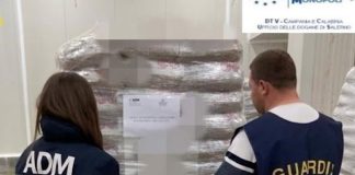 Salerno. Sequestrate 54 tonnellate di pellet proveniente dall’Egitto