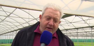 Battipaglia. Giuseppe Landi, imprenditore agricolo, critica le associazioni, le istituzioni e le politiche europee (Video)