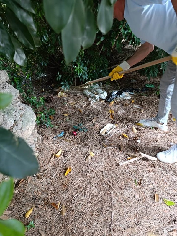 Battipaglia. Pulizia nel quartiere di Serroni. Lezione di educazione civica dai ragazzi di AC e Coscienza Sociale (vedi foto)