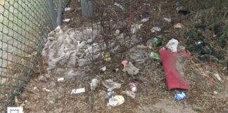Battipaglia. Via Palatucci tra degrado e rifiuti: la segnalazione dei cittadini (video)