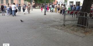 Battipaglia. Piazza Amendola tra degrado e pericolo: video inchiesta