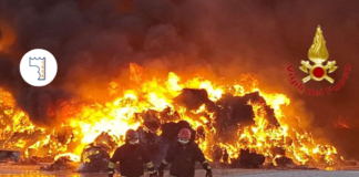 Emergenza incendi nel Salernitano, la Cisl provinciale: “Strategia integrata e più manutenzione per fermare i roghi”