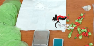 Salerno. Colpo dei Carabinieri: droga in casa di un uomo già ai domiciliari
