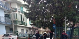 Battipaglia. Scuola Fiorentino, i Carabinieri della Forestale sequestrano una parte del cantiere