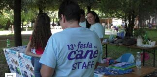 Battipaglia. Successo per la 13ª edizione della Festa del Cane: l’intervista alla promotrice Rita Busillo (video)