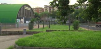 Battipaglia. Erba alta in via Adige: cresce il malcontento tra i residenti (video)