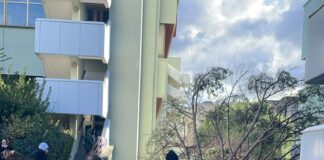 Ultima ora. Campus Universitario di Salerno. Albero cade su studenti, in 3 finiscono in ospedale