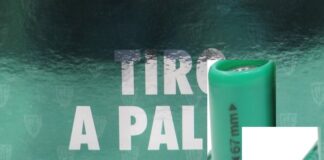 Battipaglia. Nascondeva in auto 208 cartucce a palla singola, arrestato dai carabinieri dopo un inseguimento