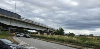 Battipaglia. Provenza denuncia: “Degrado nella rotatoria allo svincolo autostradale. Città sporca, la sindaca corra ai ripari”