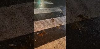 Battipaglia. Caditoie otturate, disagi per i cittadini (video muto)