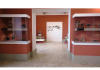 Agropoli. Istituito il Museo Archeologico al Palazzo Civico delle Arti