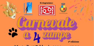 Battipaglia. Carnevale a 4 zampe, tutto pronto per la sfilata dei cagnolini in maschera