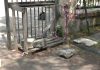 Battipaglia. La denuncia. Villa comunale a Taverna, cancello pericolante e detriti non rimossi (video)