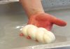 Battipaglia. “La mozzarella di bufala Campana Dop” è l’ultimo libro di Gaetano Locci (video)