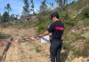 Serramezzana, sequestrati tre ettari di bosco nel Parco del Cilento: due indagati