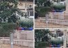Battipaglia. Degrado urbano, straniero urina tra le aiuole di Via Italia, sfiorato il linciaggio