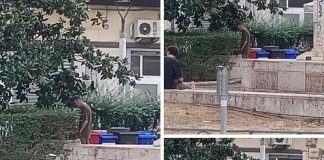 Battipaglia. Degrado urbano, straniero urina tra le aiuole di Via Italia, sfiorato il linciaggio