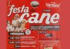 Battipaglia, torna la Festa del Cane: appuntamento il 27 settembre alla Villa Comunale