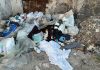 Battipaglia. Sterpaglie e rifiuti, segnalazioni da via Spineta e via Fosso Pioppo (vedi le immagini)