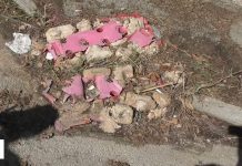 Battipaglia, rifiuti e siringhe davanti all’IC Fiorentino: arriva la segnalazione delle famiglie (video)