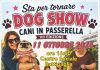 Torna a Battipaglia il “Dog Show – Cani in Passerella”: domani la VII edizione tra solidarietà, musica e inclusione