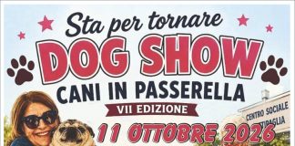 Torna a Battipaglia il “Dog Show – Cani in Passerella”: domani la VII edizione tra solidarietà, musica e inclusione